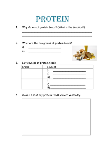 Protein Worksheet by oglennon - Teaching Resources - Tes