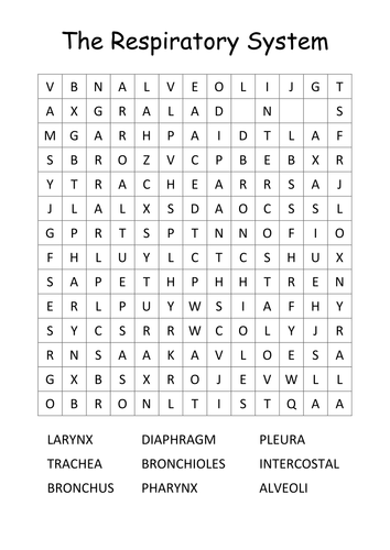 Worksheets Respiratory System Labeling Worksheet Answers respiratory system wordsearch by pehq teaching resources tes