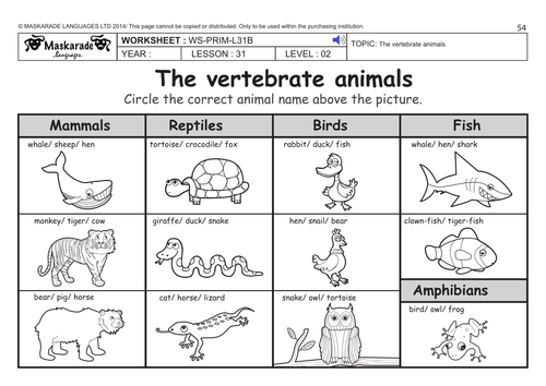 ENGLISH KS2 Level 2: Farm and Vertebrate animals by maskaradelanguages