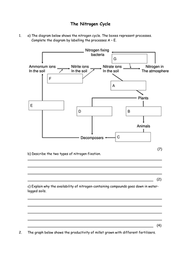 Biology Nitrogen Cycle Worksheet By GreenAPL Teaching Resources Tes