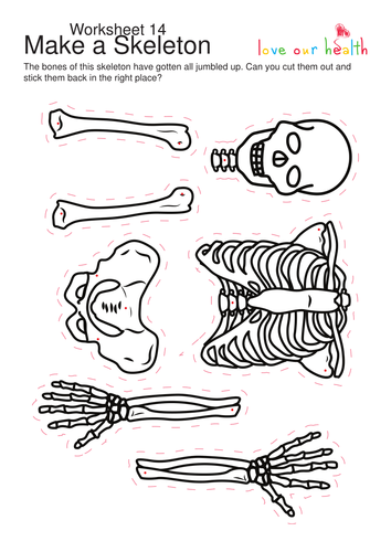 Skeleton by Vgnfz11z - Teaching Resources - Tes