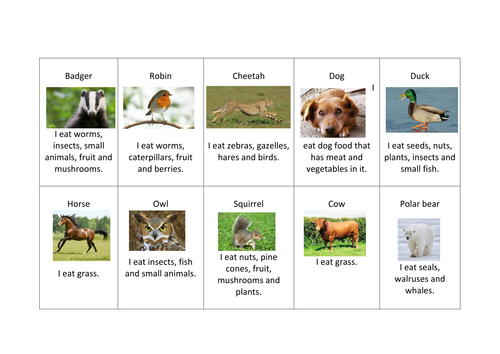 carnivore, herbivore and omnivore cards for sorting activity by jubeds