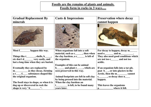 GCSE AQA Additional Science Biology - Fossils, Extinction & Speciation