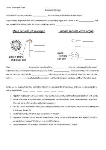 Selective Pollination Worksheet Year 8 by chrisgann - Teaching