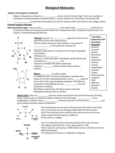 Worksheets Biology Worksheets Pdf biological molecules worksheet by stefan richards teaching resources tes