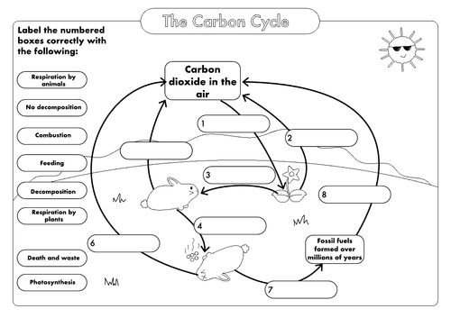 Printable Carbon Cycle Diagram Worksheet