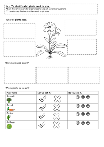 Parts of a plant year 1 picture