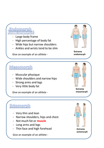 how to find out your somatotype
