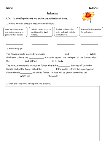 Pollination Worksheet by aliadillon - Teaching Resources - Tes