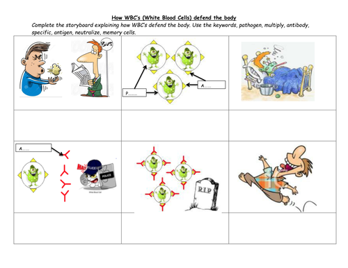 White Blood Cells Storyboard-Antibodies by Miss Patel - Teaching