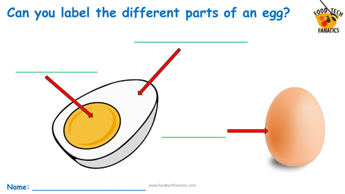 Parts of an Egg Worksheet by foodtechfanatics - Teaching Resources - Tes