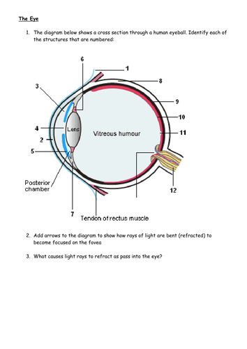 ebook Neutron Scattering 1986