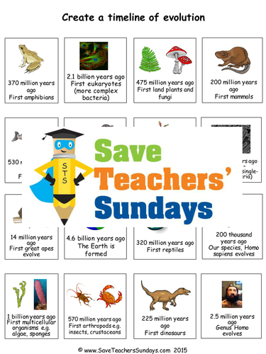 SaveTeachersSundays's Shop - Teaching Resources - TES