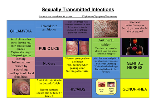 Sexually Transmitted Infections STI Starter Activity Worksheet Matching