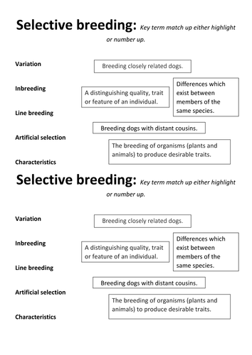 Selective breeding in animals by riches1157 - Teaching Resources - Tes