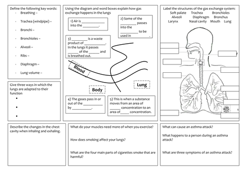 KS3 Gas exchange revision mat by BLJohnson39 - Teaching Resources - Tes