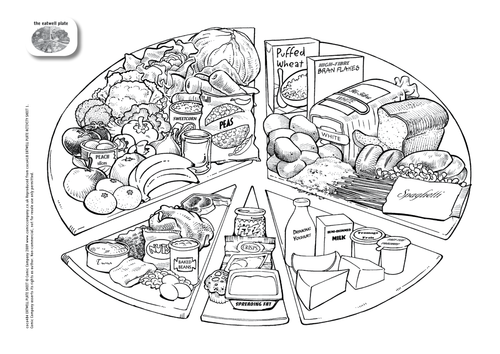 Line Drawing Ks1 : Eatwell plate colouring activity sheet by healthy