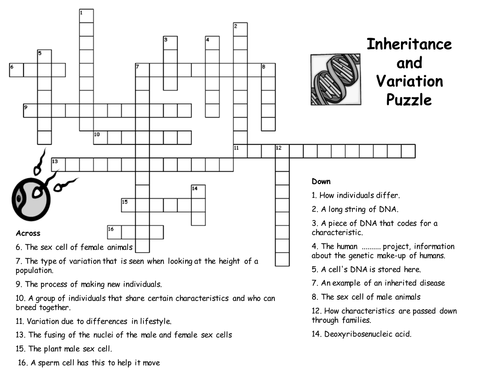 Inheritance puzzle by Teach_Biology - Teaching Resources - TES