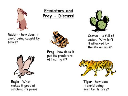 Ecology: Predators and Prey IWB Starter by Teach_Biology - Teaching