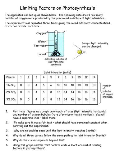 Limiting factors by Teach_Biology - Teaching Resources - Tes