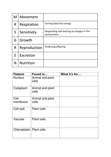 life-processes-mrs-gren-and-cells-worksheet-by-lauh88-teaching-resources-tes