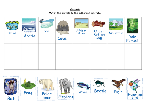 Match the animals to their habitats by ruthbentham Teaching Resources