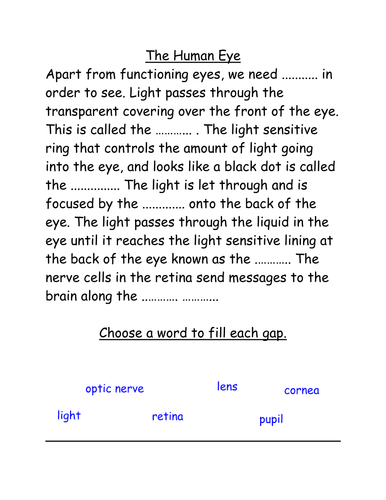 The Human Eye - Cloze passage by lynreb - Teaching Resources - Tes