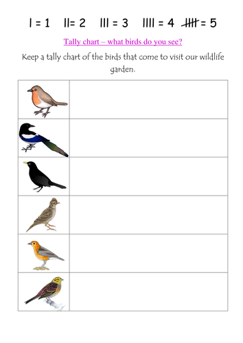 Bird watching tally chart by groov_e_chik - Teaching Resources - Tes
