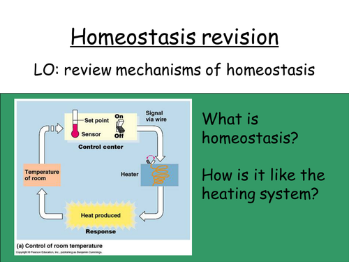 Homeostasis Revision By Deb1977 Teaching Resources Tes 7082