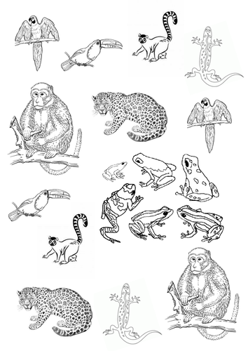 3 D Rainforest Henri Rousseau Art Pictures by googlie eye Teaching Resources Tes