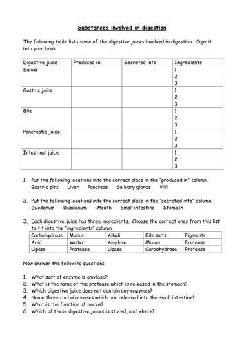 enzymes worksheet by cazzie123  Teaching Resources  Tes