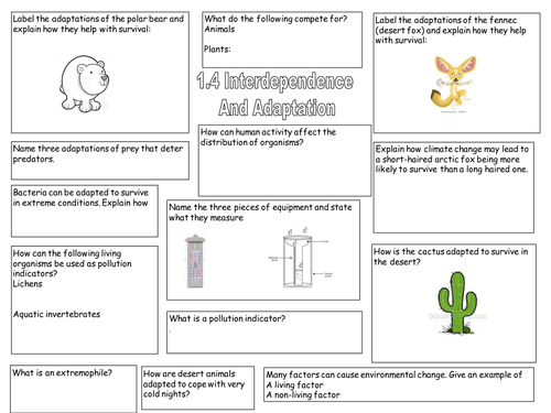 New AQA B1 Revision Unit 1.4 Interdependence and a by runchick2016