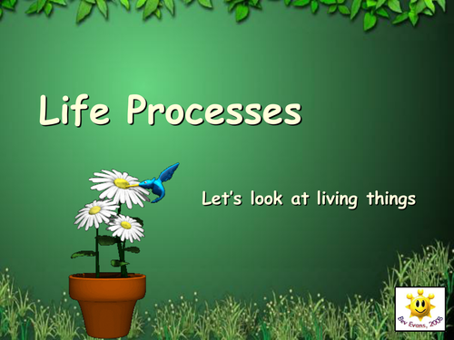 life-processes-by-bevevans22-teaching-resources-tes