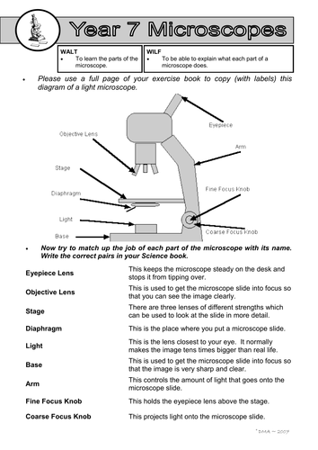 Worksheets Microscope Parts Worksheet parts of a microscope worksheet by dazayling teaching resources tes