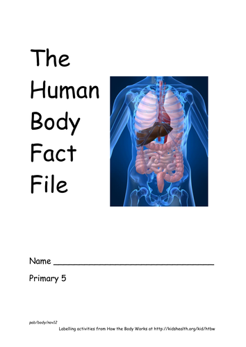 Human Body Fact File by Pamela2223 - Teaching Resources - Tes