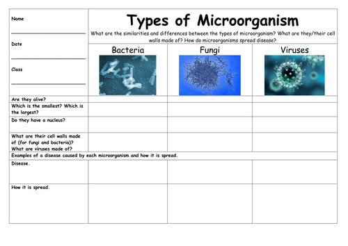 5th-grade-worksheet-on-bacteria