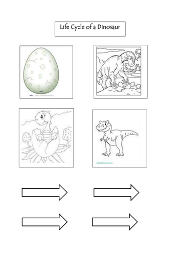 Dinosaur lifecycle by Godzookie - Teaching Resources - Tes