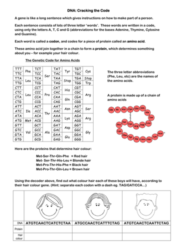 DNA Cracking the Code by tooniegal - Teaching Resources - Tes