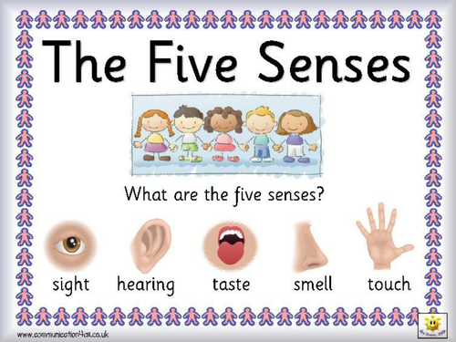 5 Senses In Order