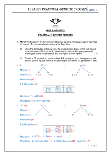KS3 biology - genetic crosses by lingzo - Teaching Resources - Tes