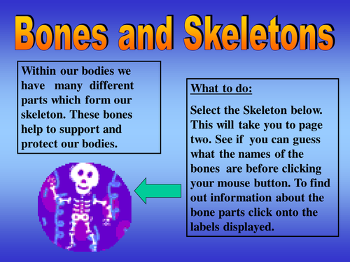 Science year 3 Skeletons by parmard1 - Teaching Resources - Tes