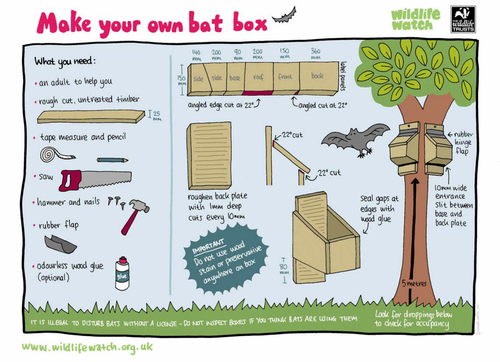 How to make a bat box by TheWildlifeTrusts - Teaching Resources - Tes