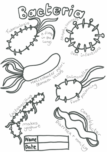 Bacteria Colouring by ermintrudel Teaching Resources Tes