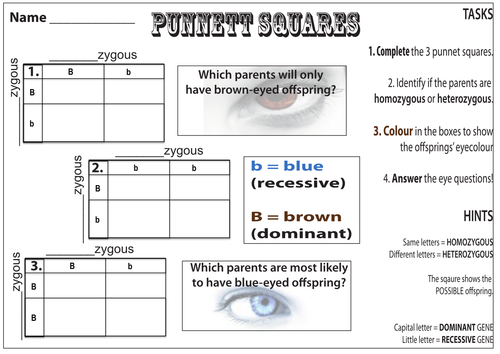Punnet Squares by katie-lu - Teaching Resources - Tes