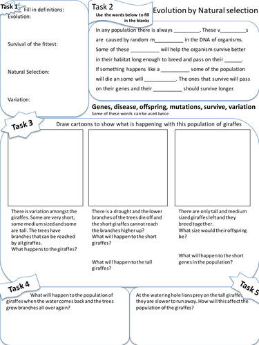 Worksheets Natural Selection Worksheet natural selection lower ability by itegallagher teaching resources tes