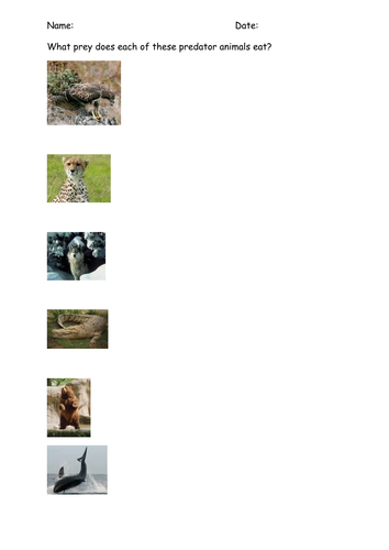 Worksheets Predator Prey Worksheet predator and prey by burgess63 teaching resources tes