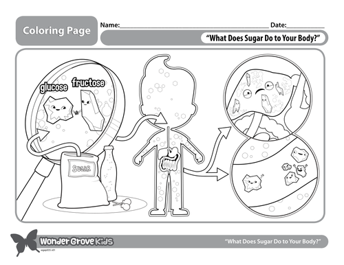 What Does Sugar Do to Your Body (KS2) by wondergrove - Teaching