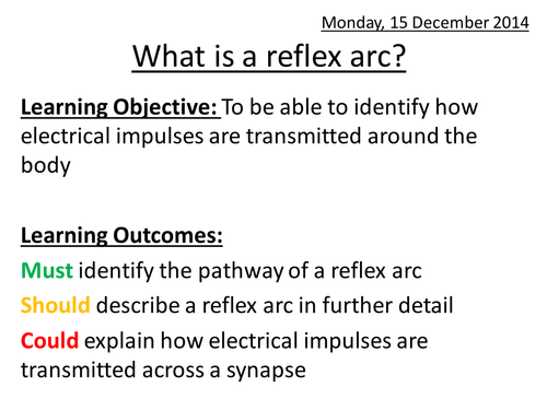 What is a reflex arc? by amberprice - Teaching Resources - Tes