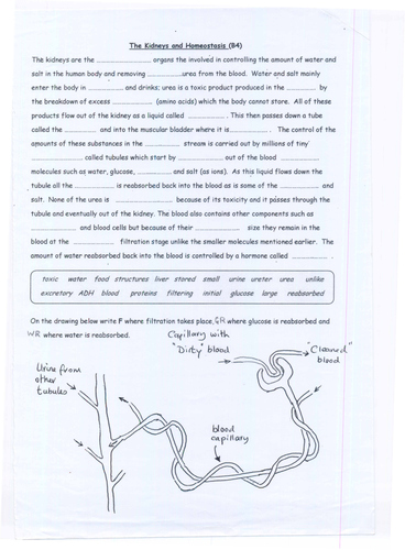 dialysis device manufacturers japan