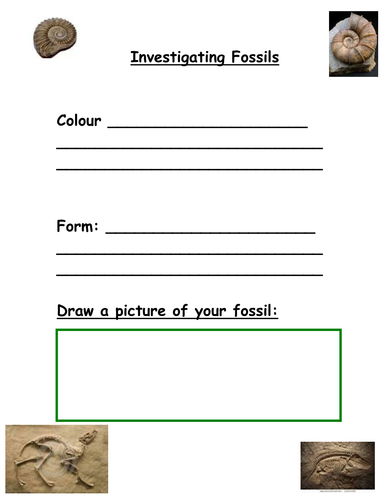 Literacy Unit for Reception 'Dinosaur Roar'